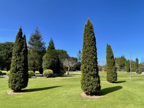 Alrededor del putting green y la casa club