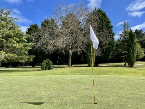 Green del 3-13