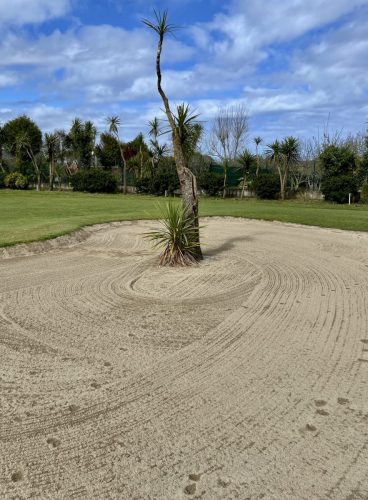 Bunker de green del 8