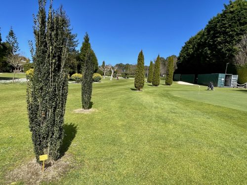 Alrededor del putting green y la casa club