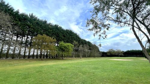 Cada Roble lleva su tiempo de floración