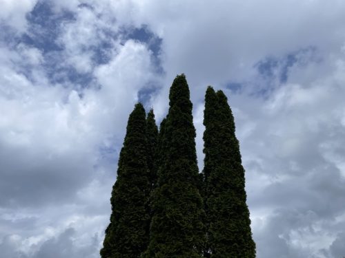 La escultura junto al green