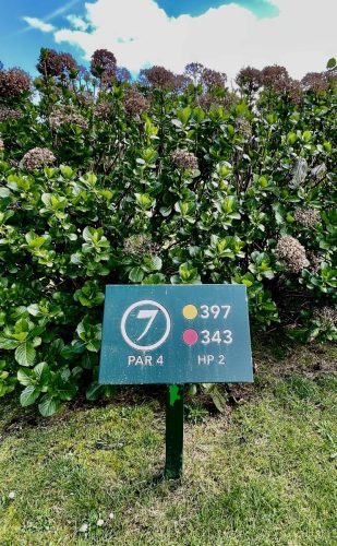 Tee 7