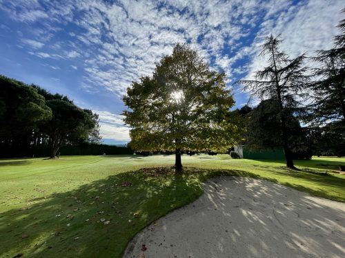 Bunker y Tilo, difícil llegar al green