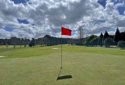 Green 7-17