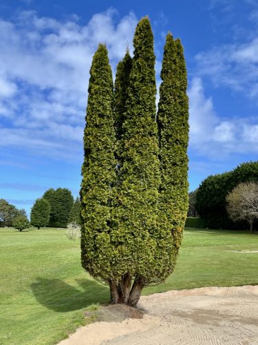 La escultura junto al green
