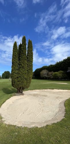 La escultura junto al green