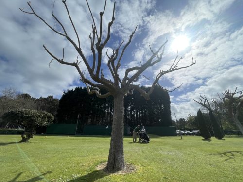 Junto al putting green y el parking
