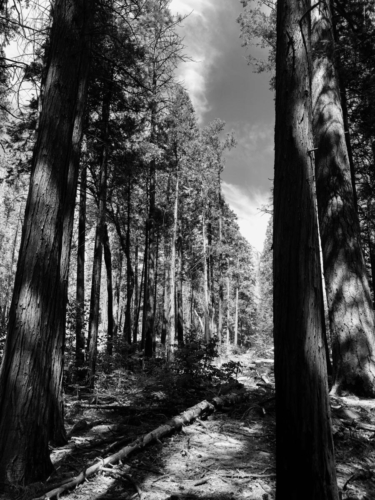 Yosemite