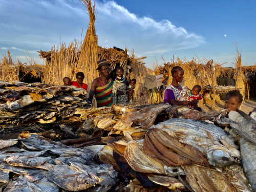 Video-Turkana-18